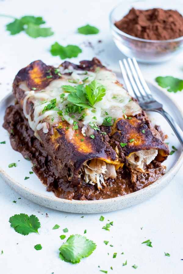 best mole enchiladas near me