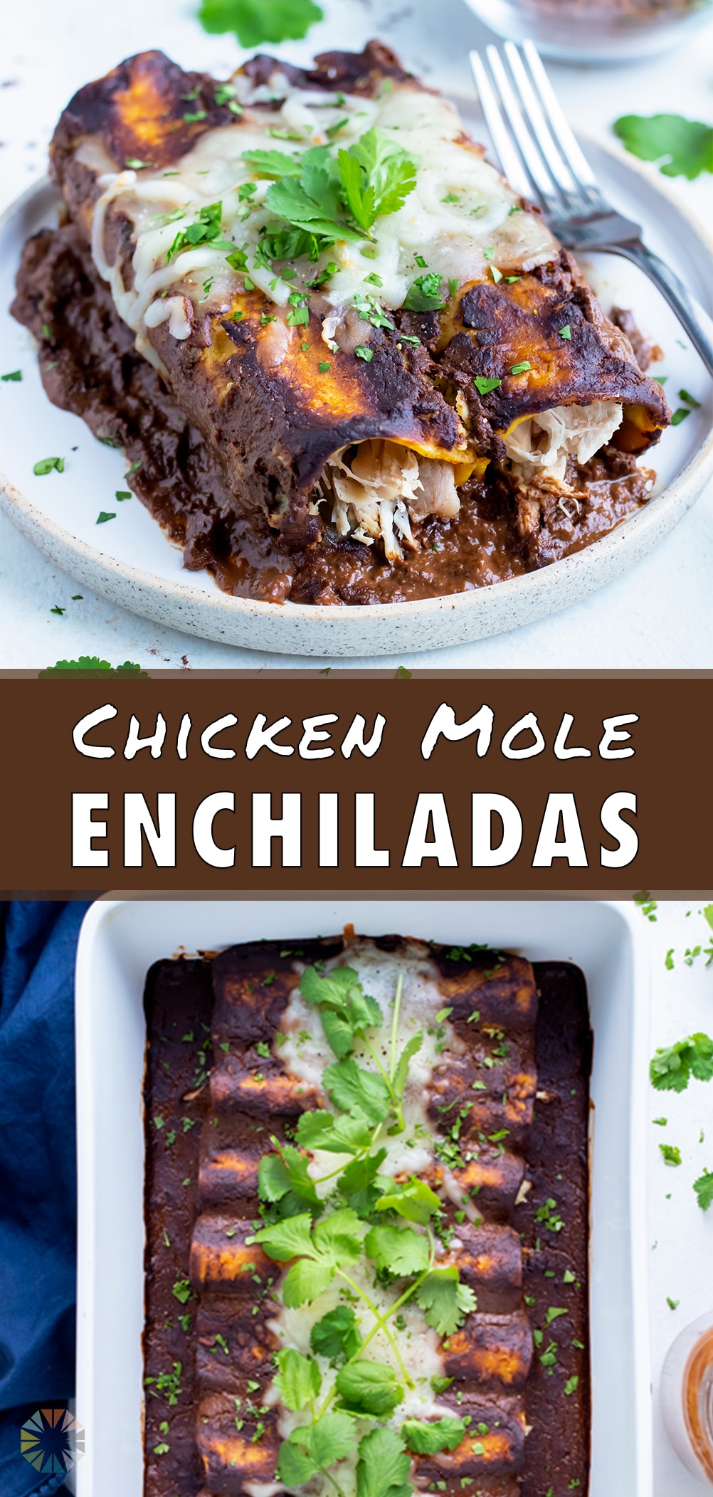 Best Chicken Mole Enchiladas - Evolving Table