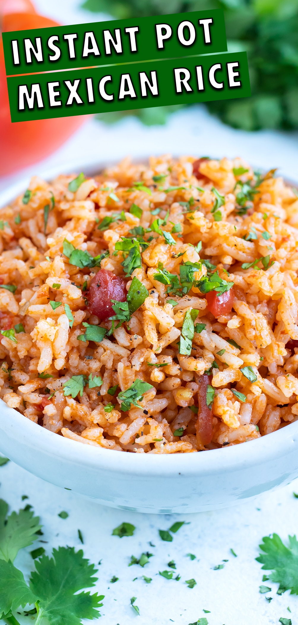 Easy Instant Pot Mexican Rice Recipe - Evolving Table