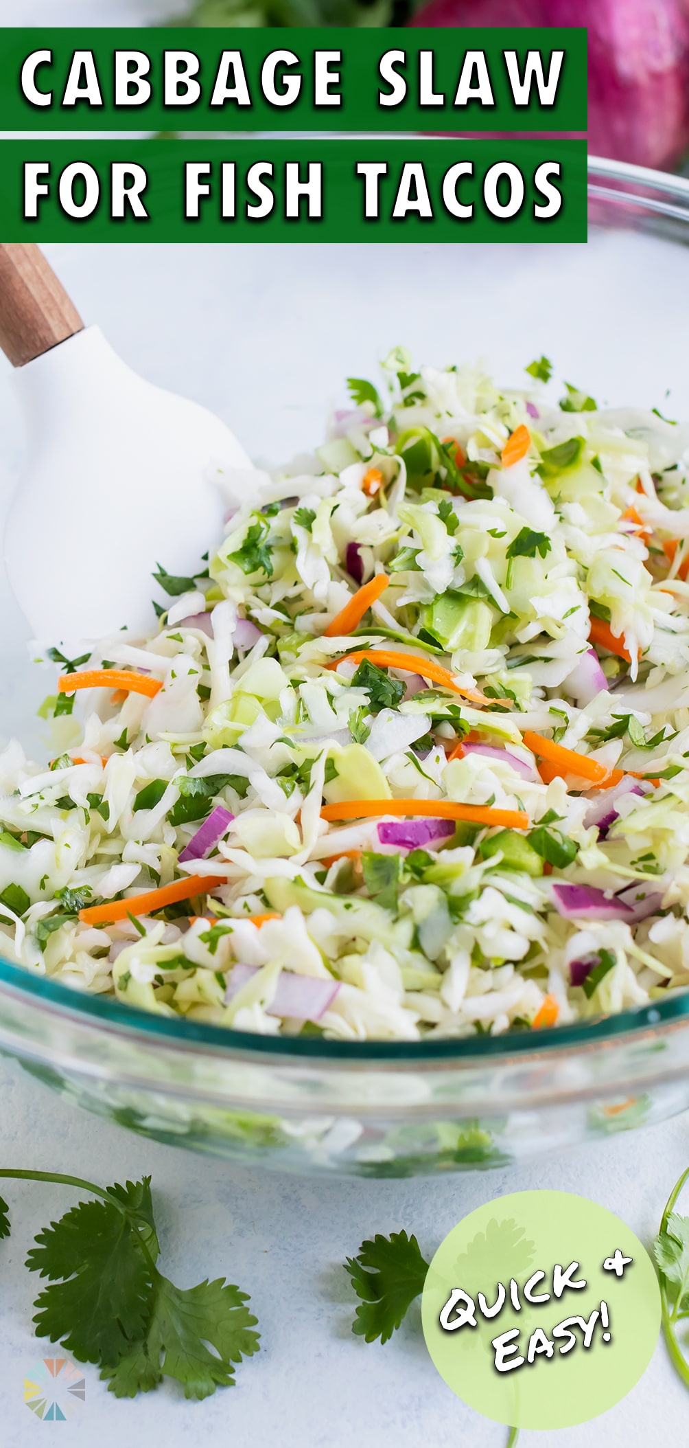 Fast 5-Minute Fish Taco Slaw Recipe - Evolving Table