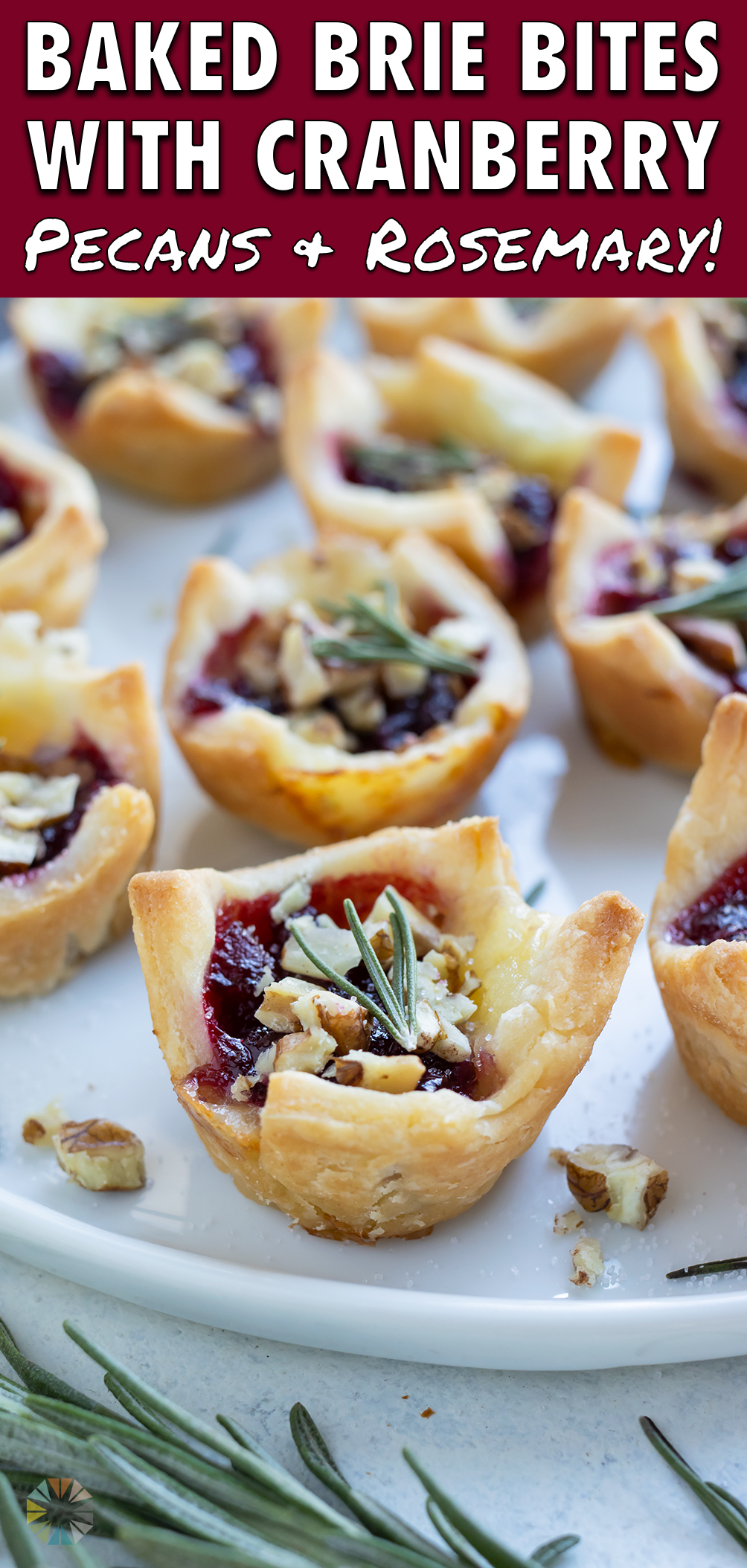 Cranberry Baked Bried Bites Recipe - Evolving Table