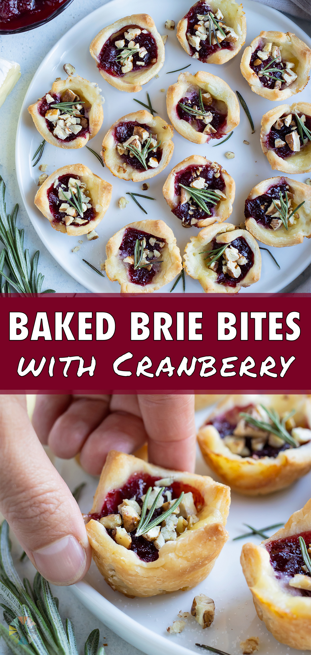 Cranberry Baked Bried Bites Recipe - Evolving Table