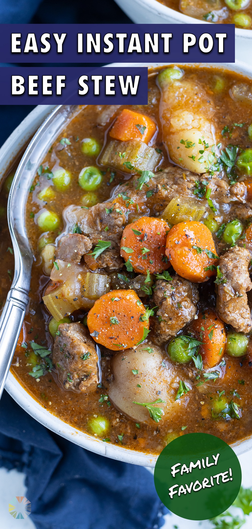 Instant Pot Beef Stew Recipe - Evolving Table