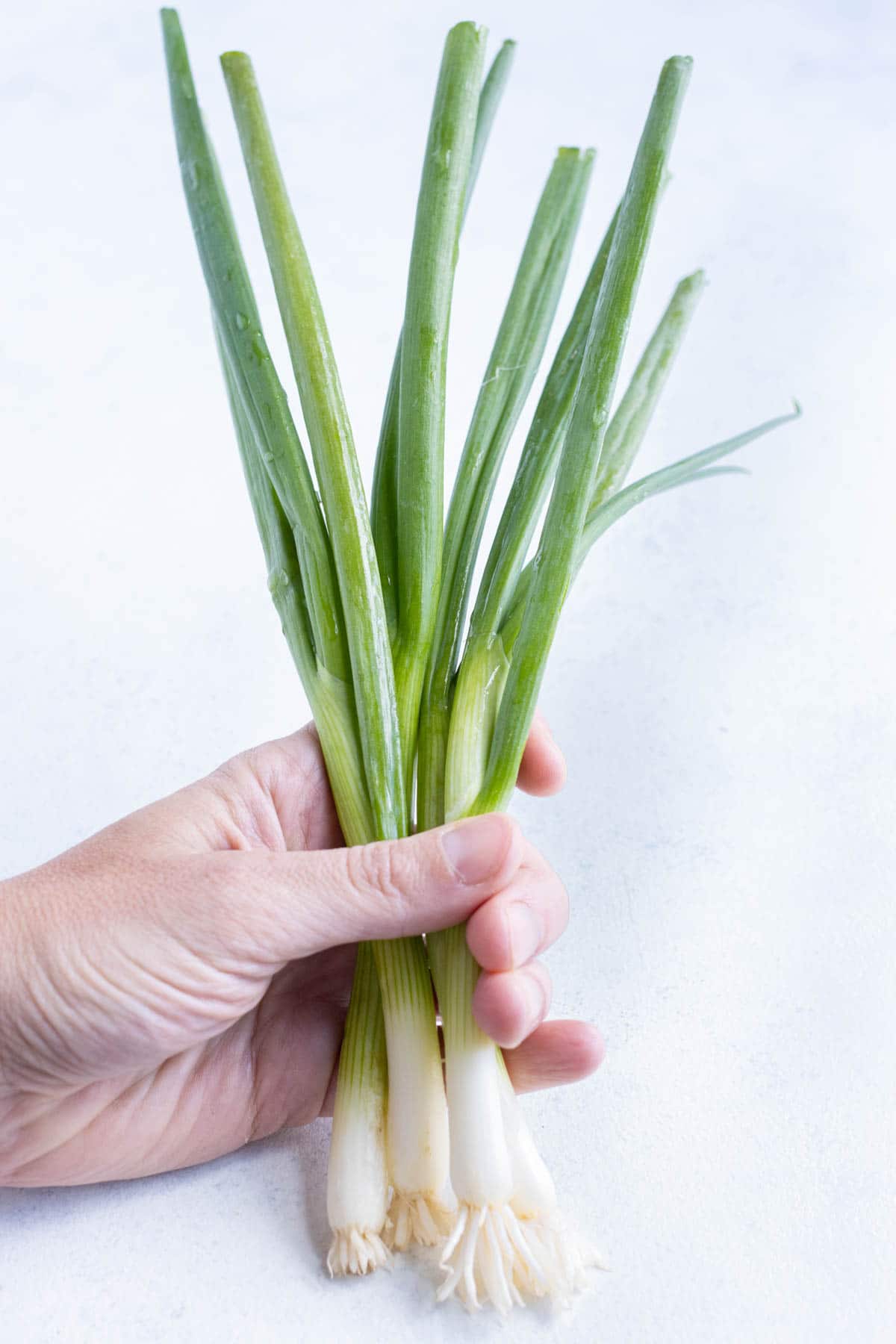 How to Cut Green Onions - The Quick Journey