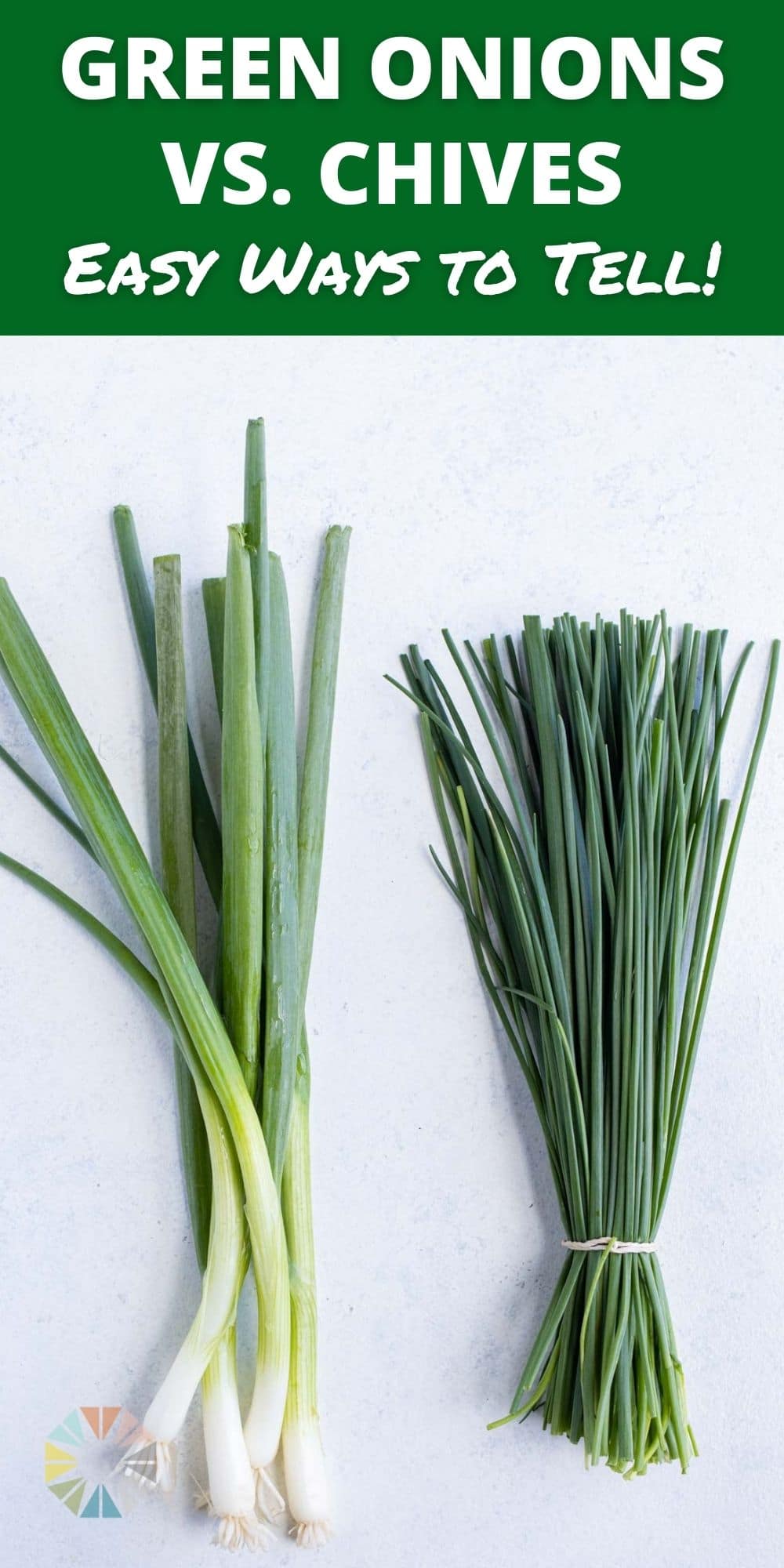 Green Onions vs. Chives vs. Shallots Evolving Table