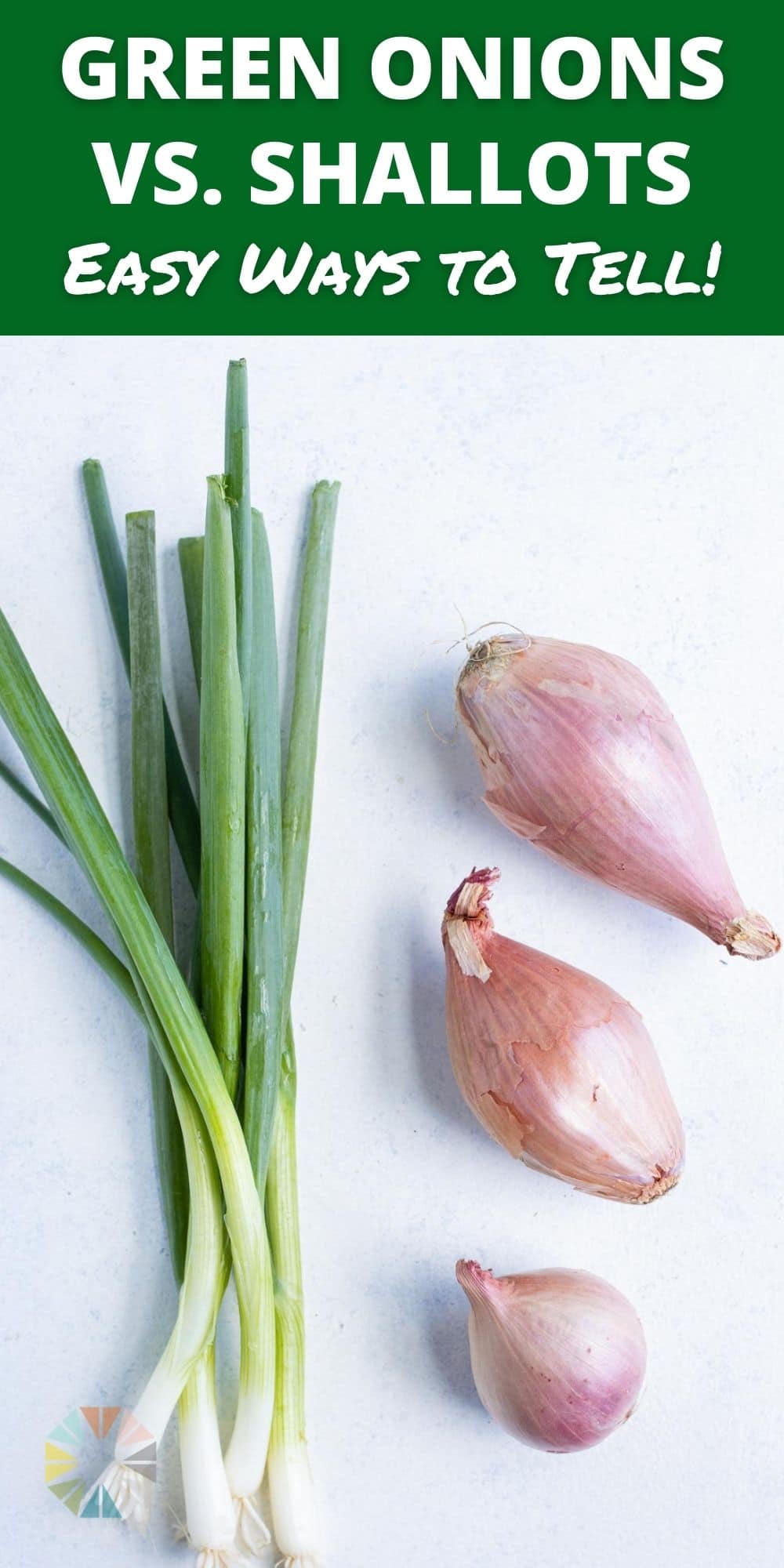 green-onions-vs-chives-vs-shallots-evolving-table