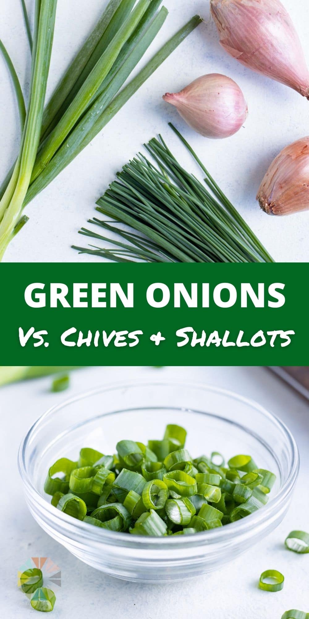 green-onions-vs-chives-vs-shallots-evolving-table