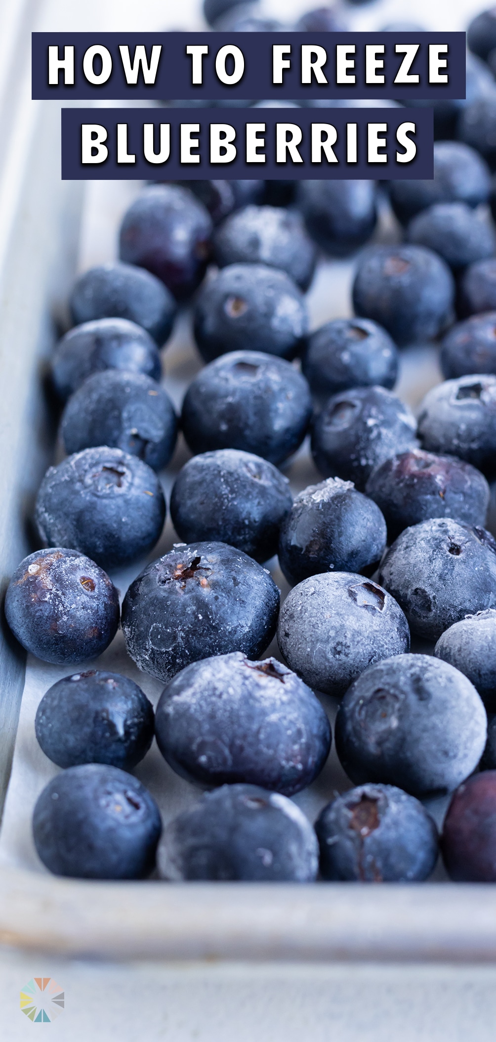 How to Freeze Blueberries - Evolving Table