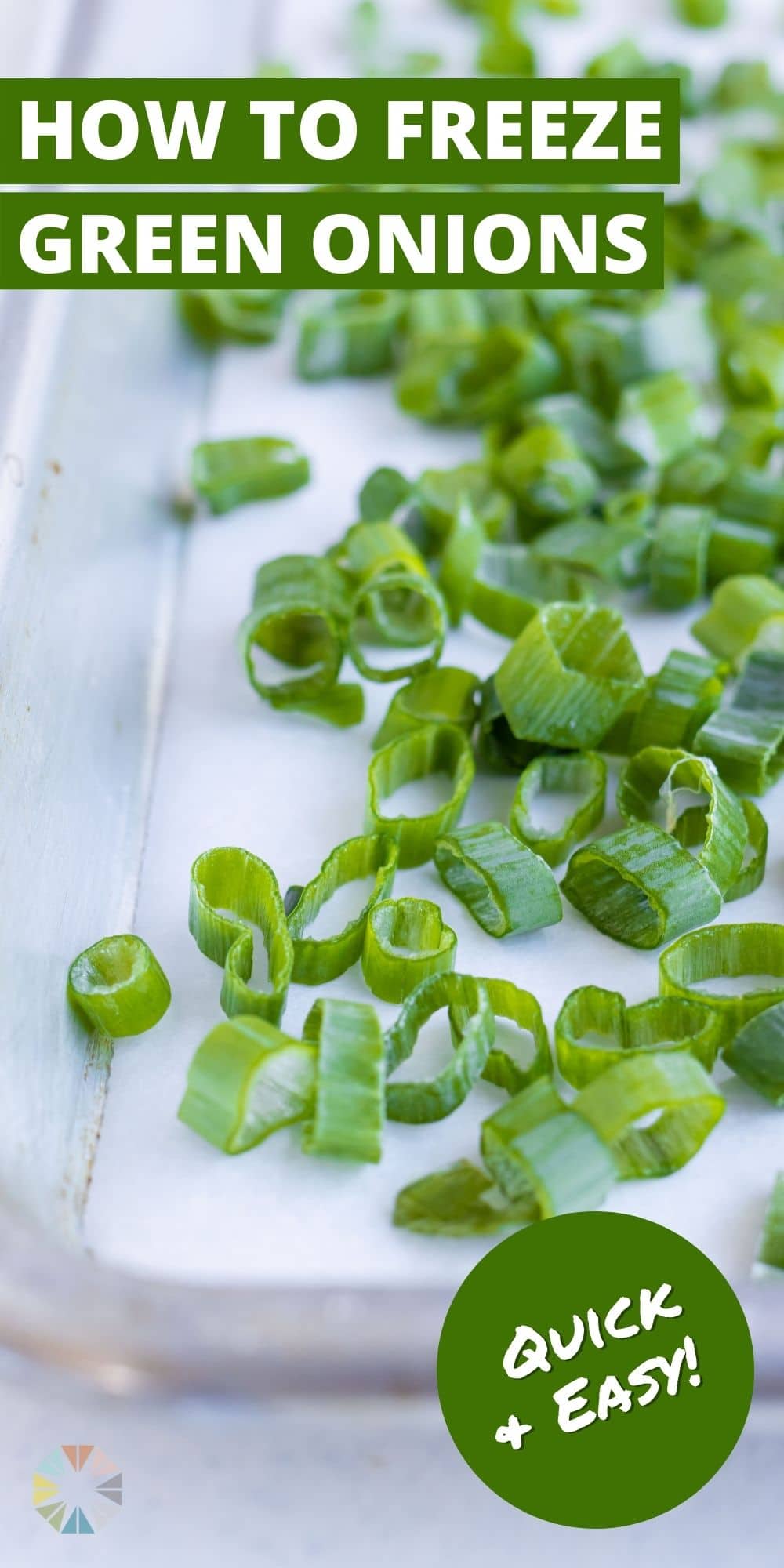 How To Freeze Green Onions 2 Easy Ways Evolving Table   How To Freeze Green Onions Pinterest 22 1 B 