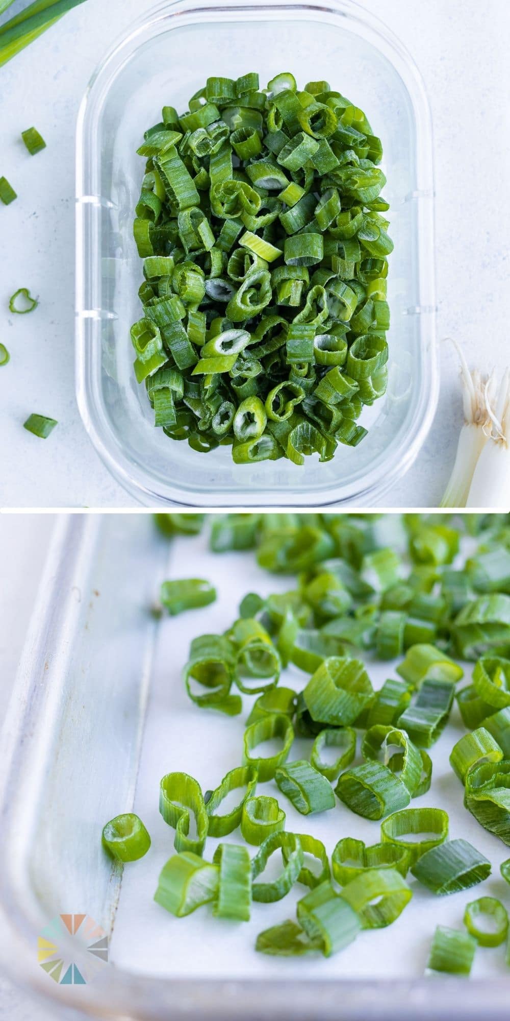 how-to-freeze-green-onions-2-easy-ways-evolving-table