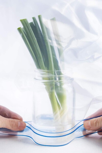 How to Store Green Onions (3 Easy Ways!) - Evolving Table