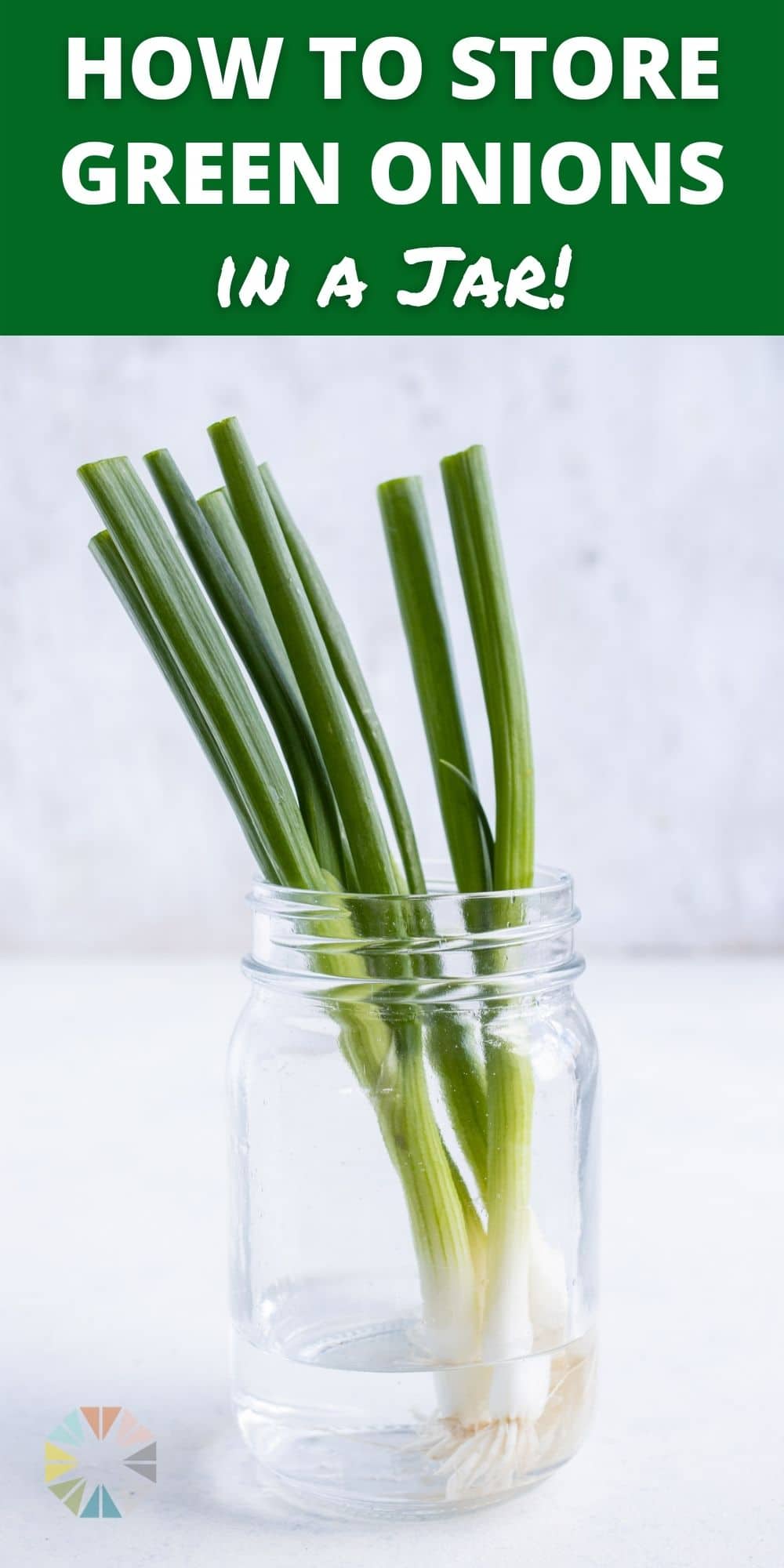 How To Store Green Onions Pinterest 22 1 B 