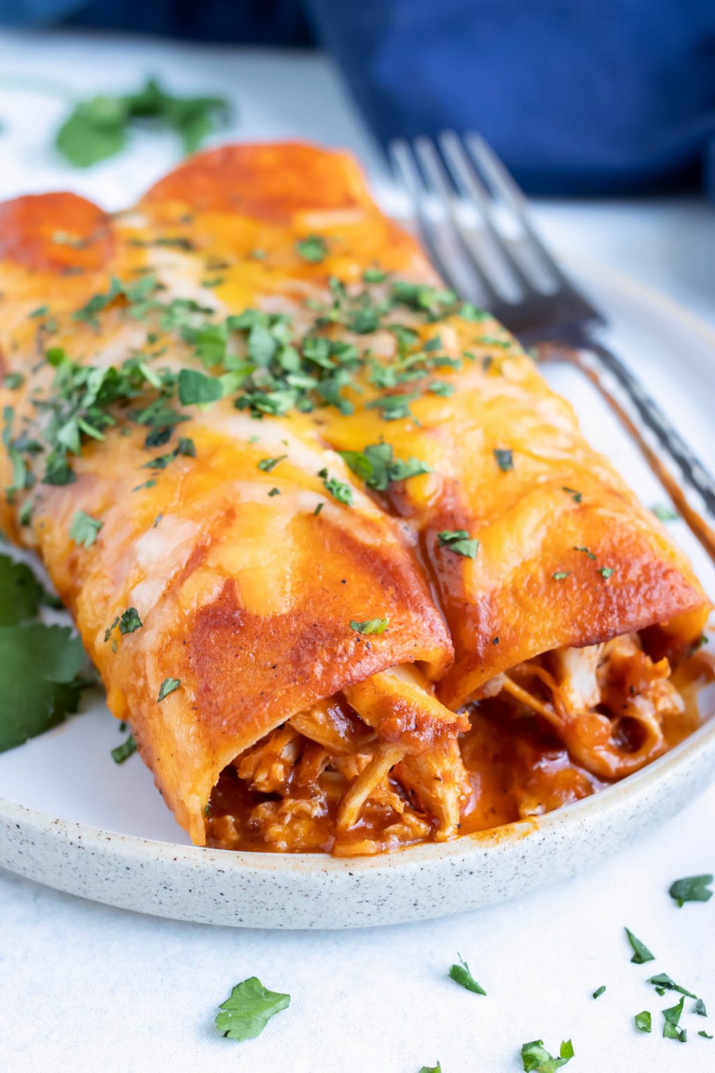 Easy Shredded Chicken Enchiladas - Evolving Table