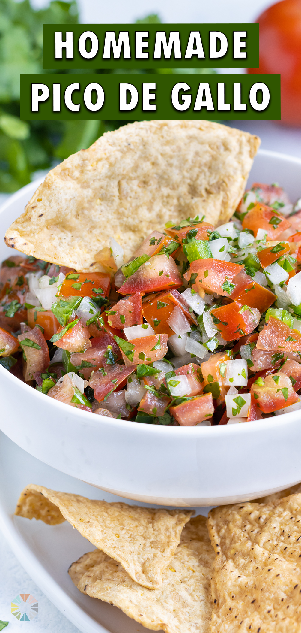 Homemade Pico de Gallo Recipe - Evolving Table