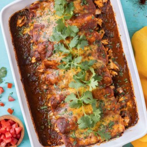 A tray full of an easy homemade chicken enchiladas recipe with cheese and topped with cilantro.