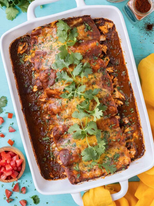 A tray full of an easy homemade chicken enchiladas recipe with cheese and topped with cilantro.