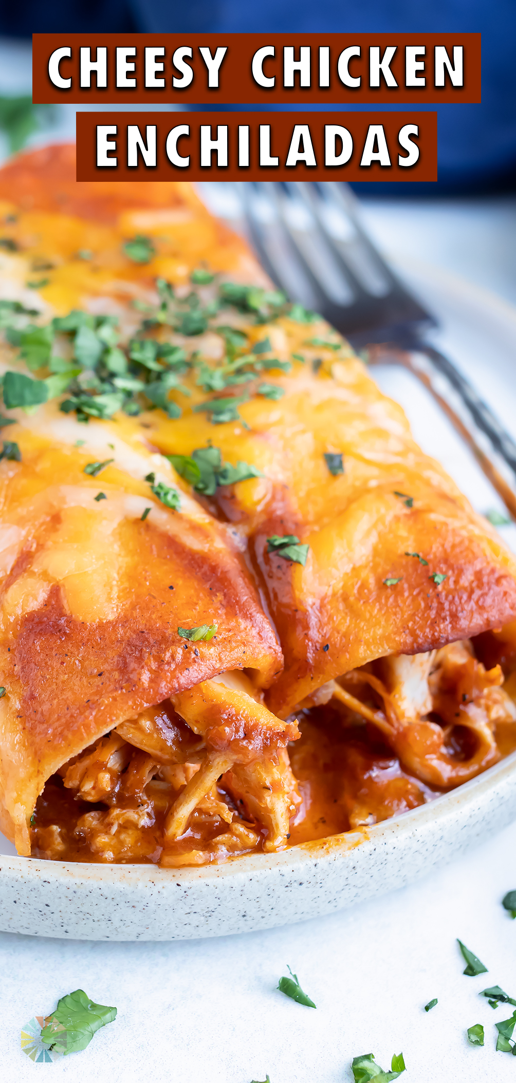 Easy Shredded Chicken Enchiladas - Evolving Table