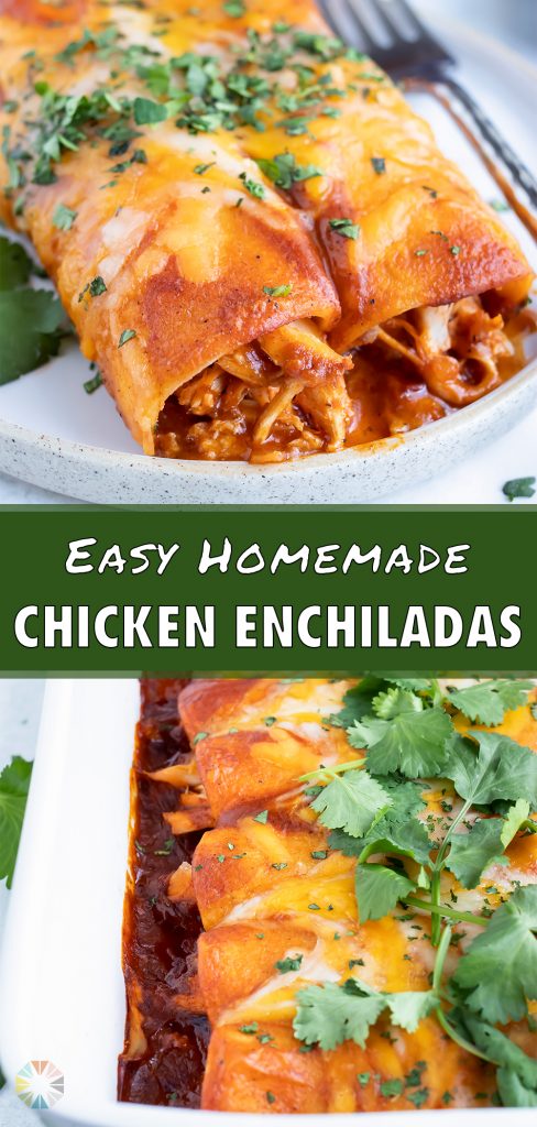 Easy Shredded Chicken Enchiladas - Evolving Table