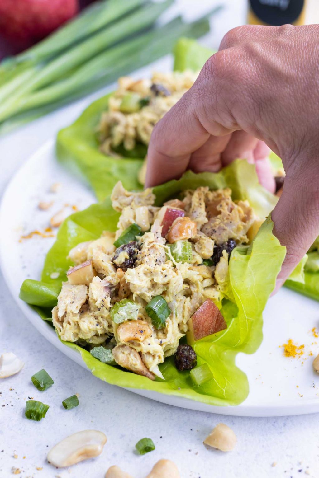 Curry Chicken Salad Recipe - Evolving Table