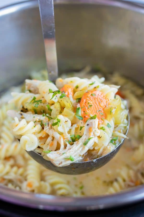 Instant Pot Chicken Noodle Soup Recipe - Evolving Table
