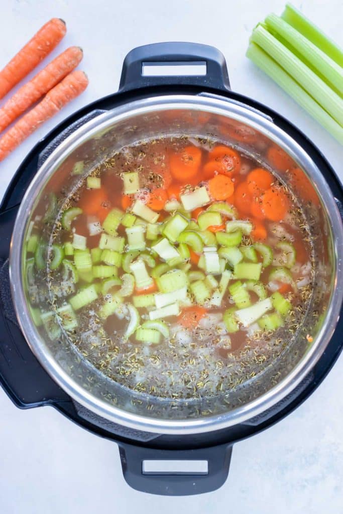 Instant Pot Chicken Noodle Soup Recipe - Evolving Table