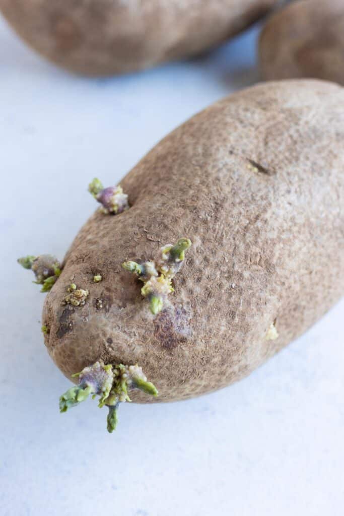 Are Sprouted Potatoes Safe To Eat? - Evolving Table