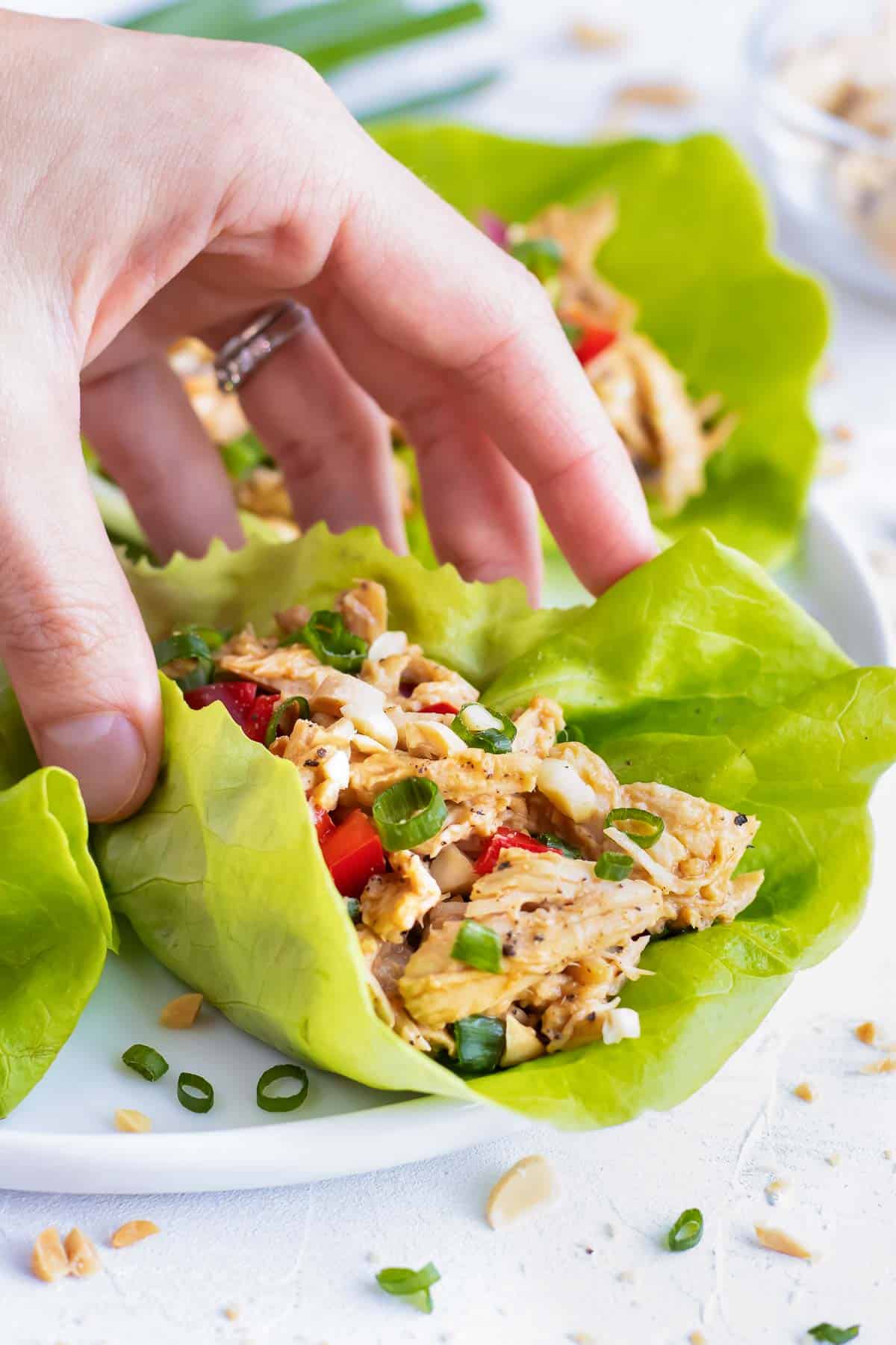 Asian Chicken Salad Lettuce Wraps