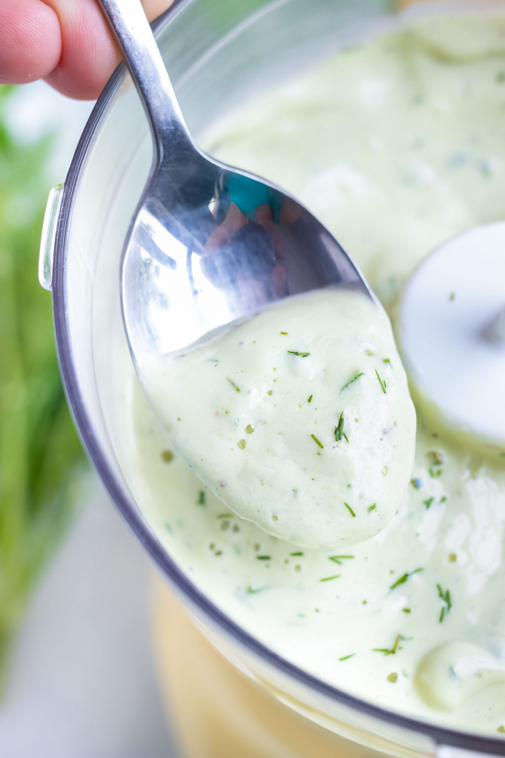 Avocado Ranch Dressing Recipe - Evolving Table