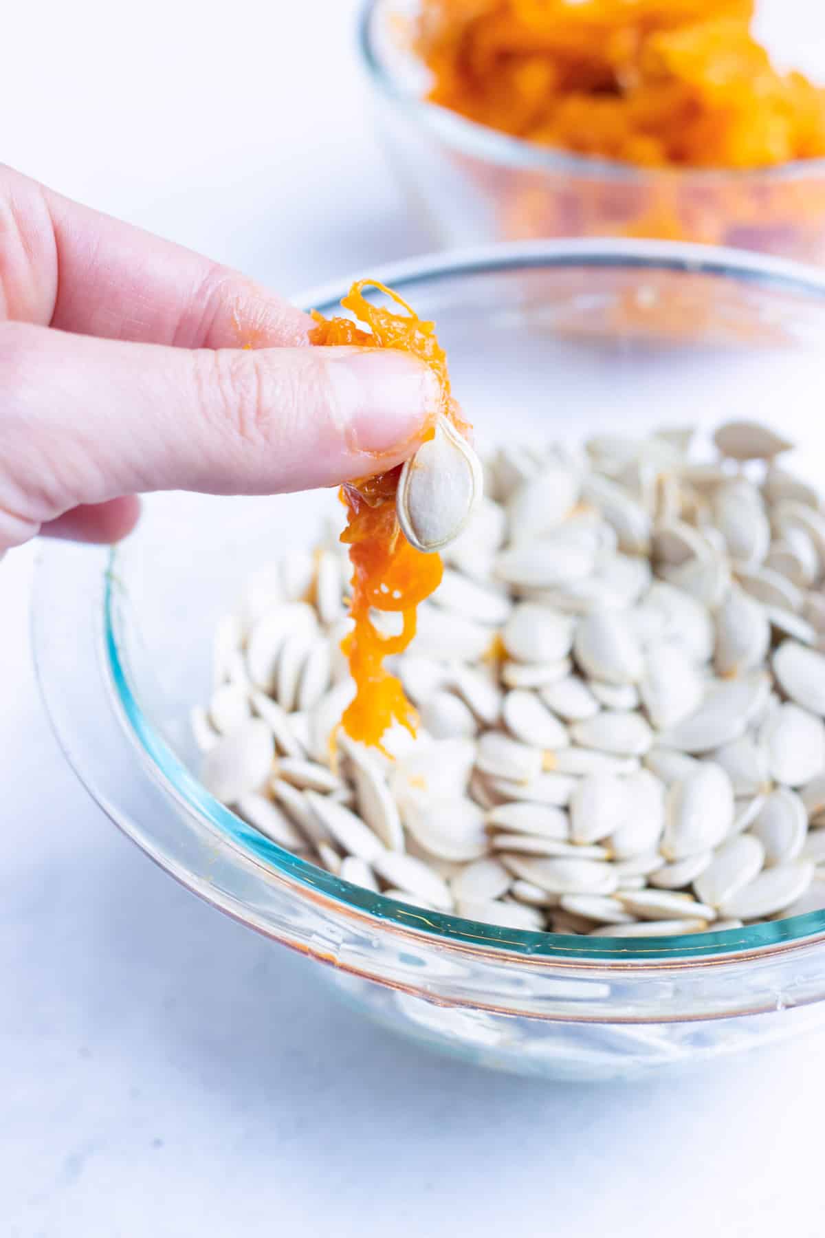 Seeds are cleaned and prepared to be baked in the oven.