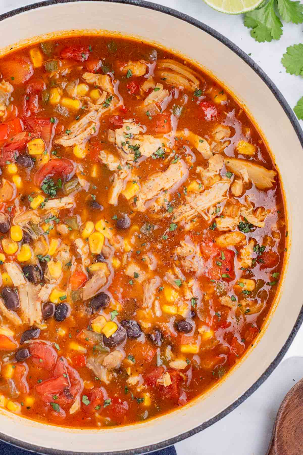 An overhead shot of chicken enchilada soup in a Dutch oven.