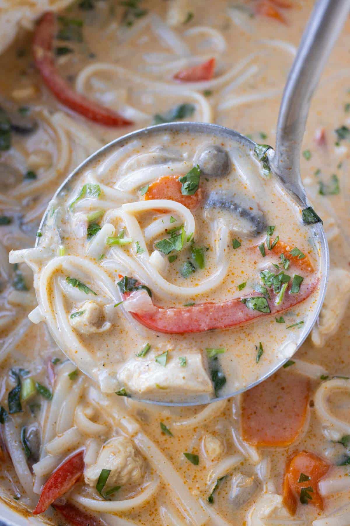 A ladle full of Thai chicken curry soup with rice noodles and red bell peppers.