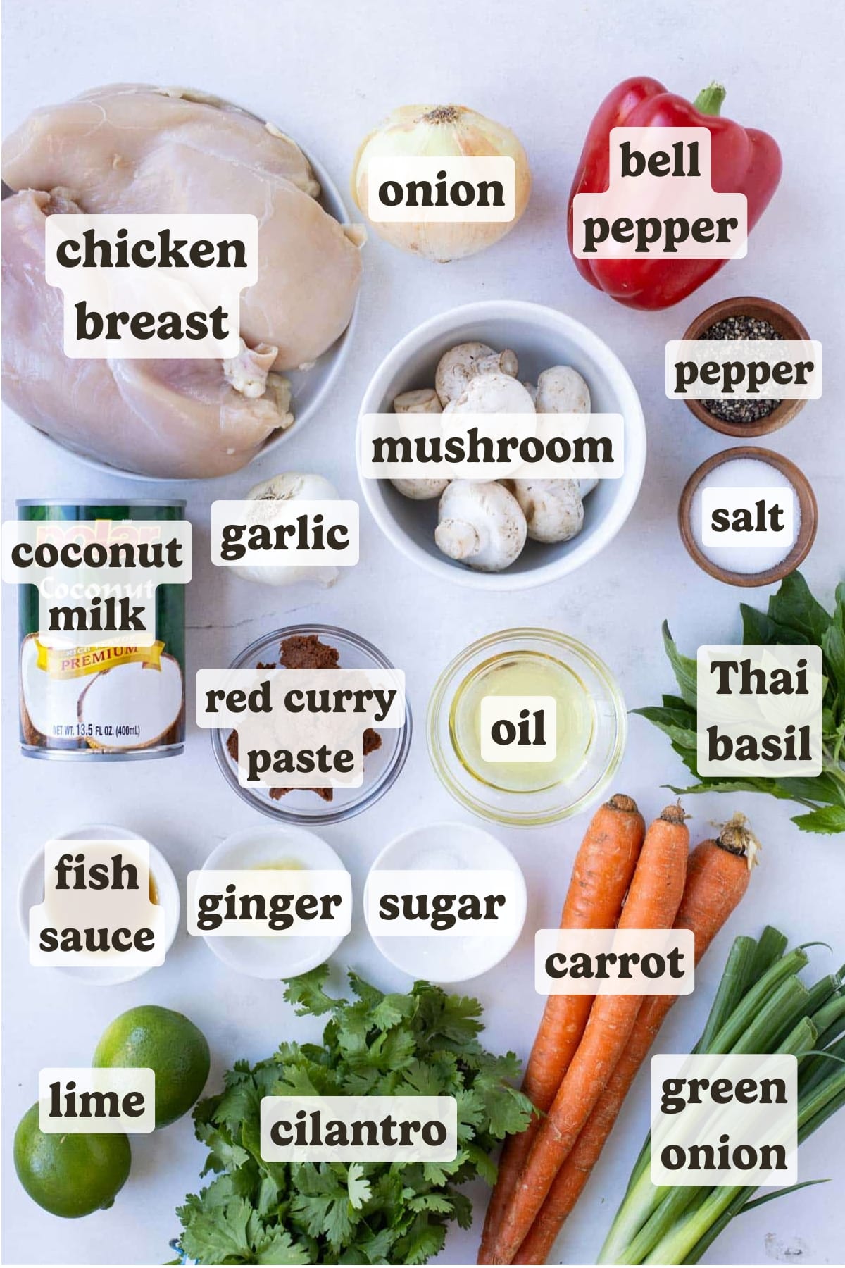 Chicken, veggies, seasonings, broth, and coconut milk are the main ingredients for Thai chicken curry soup.